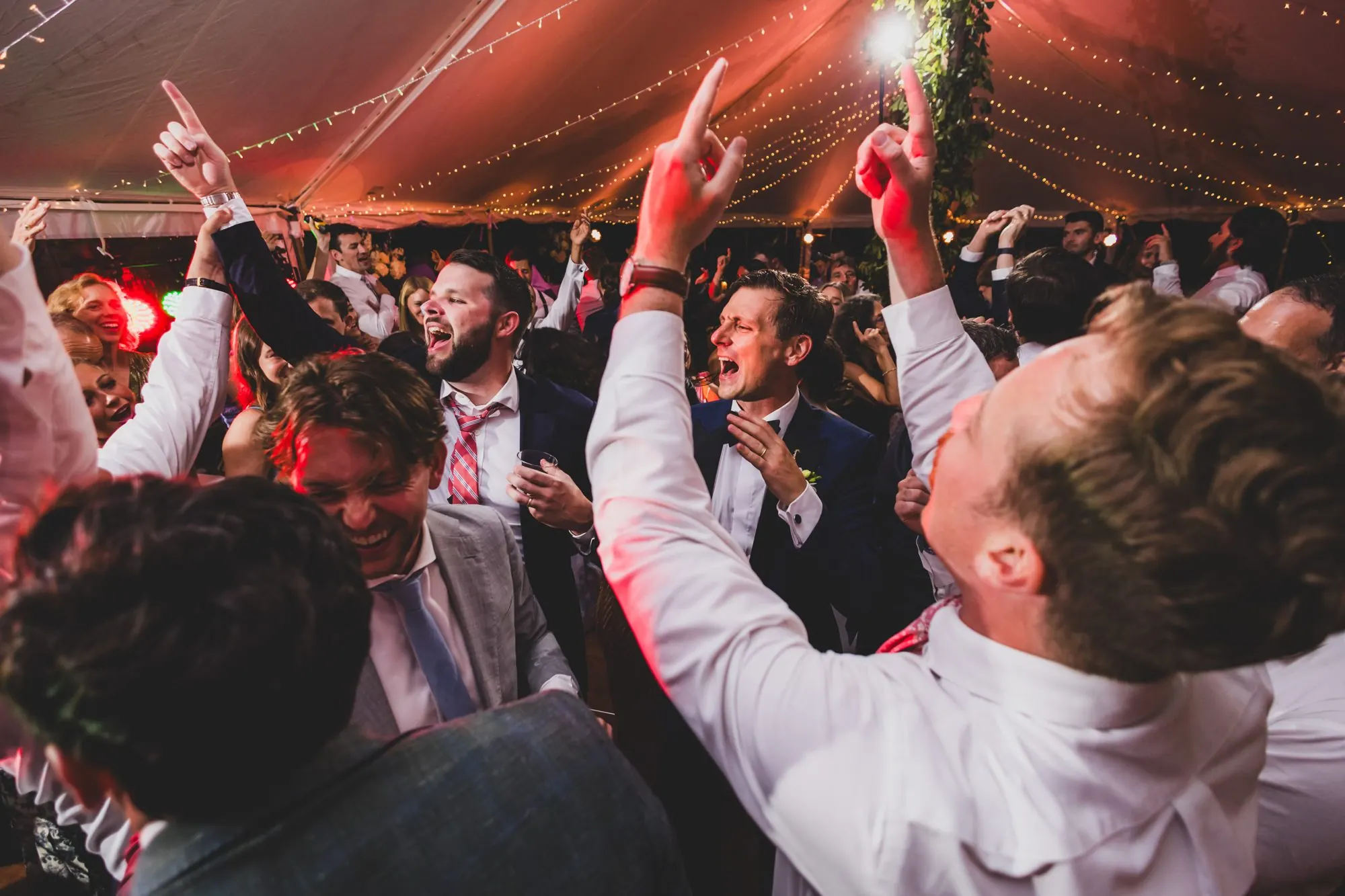 Wedding guests pointing at the ceiling and singing along